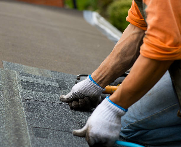 Best Metal Roofing Contractor  in Meadowdale, WA