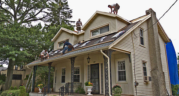 Professional Roofing Contractor in Meadowdale, WA